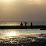 silhouette of people on beach during daytime