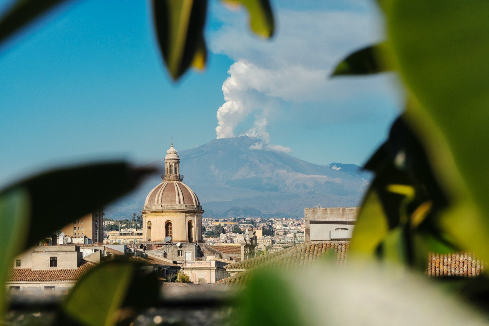 a view of a city with a mountain in the background